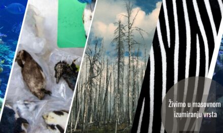 Nalazimo se u šestom masovnom izumiranju. I ono se dešava brže i burnije nego prethodna