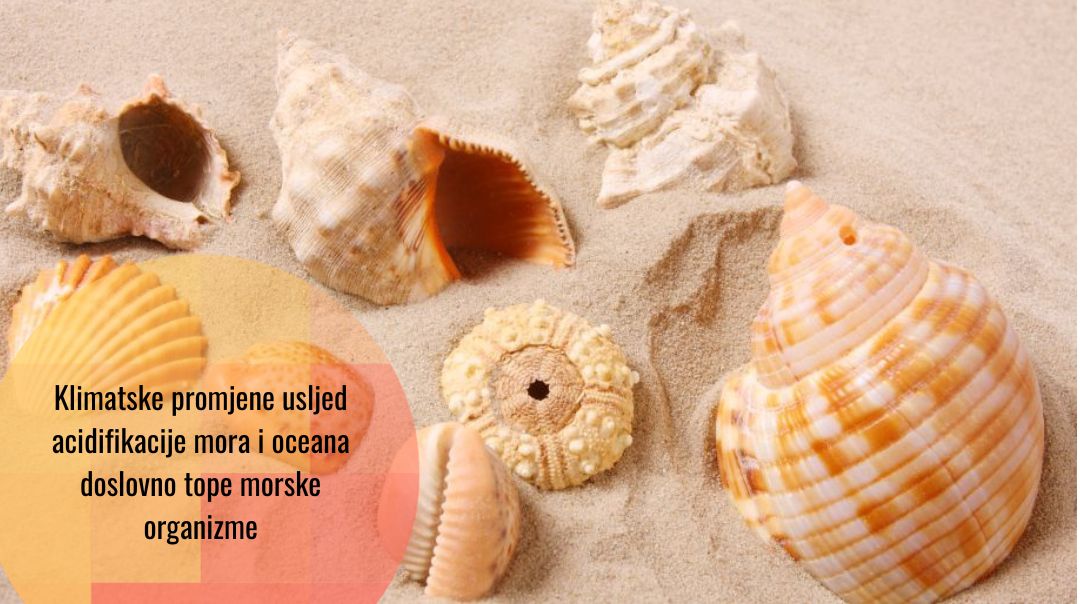 Acidifikacija oceana i mora: sestra bliznakinja klimatskih promjena