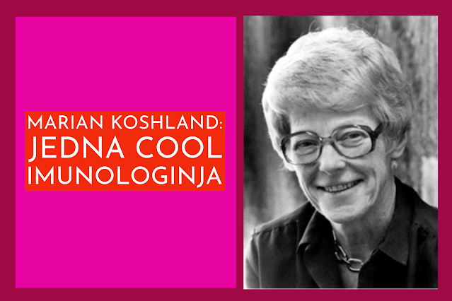 Marian Koshland: supermoći antitijela
