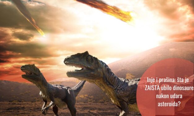 Apokaliptični oblak prašine nakon udara asteroida Chicxulub dokusurio je dinosaure