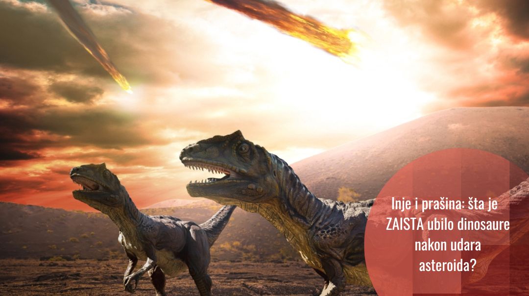 Apokaliptični oblak prašine nakon udara asteroida Chicxulub dokusurio je dinosaure