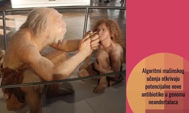 Neandertalski geni i AI: saradnja koja otkriva potencijalne nove antibiotike