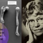 Margaret Mead: priča o jednoj kosti i bijelim malim lažima na koje padamo