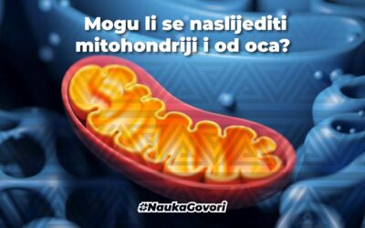 Mogu li se naslijediti mitohondriji i od oca? Biparentalno nasljeđivanje mitohondrijalne DNK (uh, ovo zvuči komplikovano)