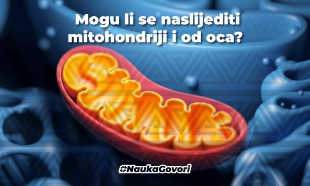 Mogu li se naslijediti mitohondriji i od oca? Biparentalno nasljeđivanje mitohondrijalne DNK (uh, ovo zvuči komplikovano)
