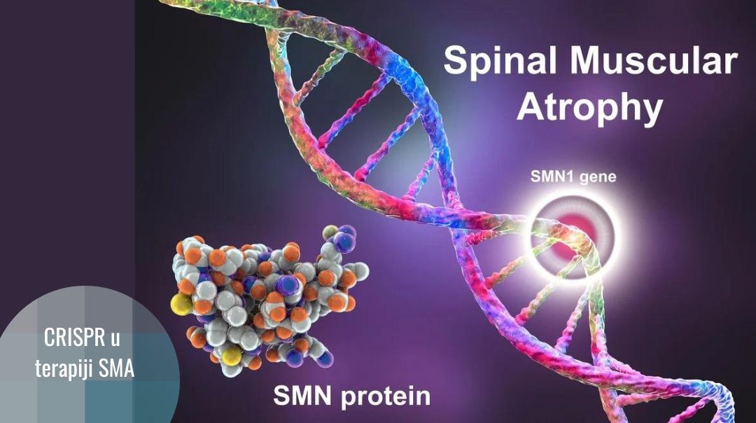 CRISPR pruža nadu za liječenje spinalne mišićne atrofije (SMA) kod beba