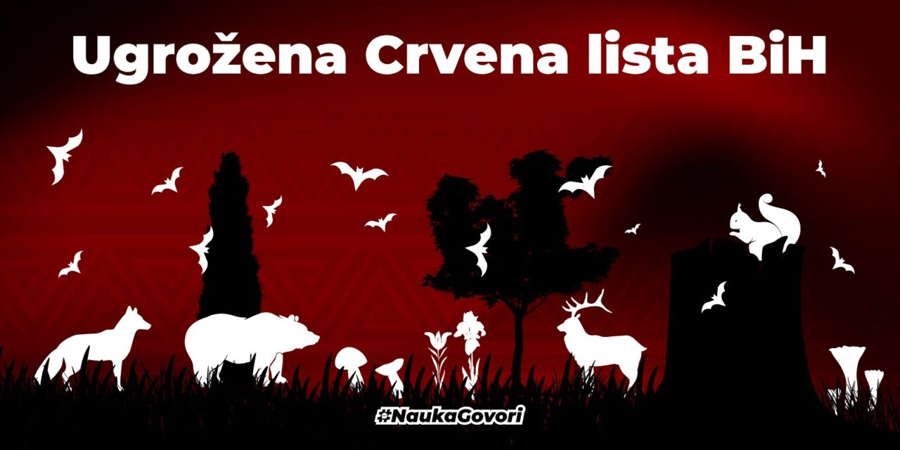 Crvena lista BiH: ugrožena i nepostojeća