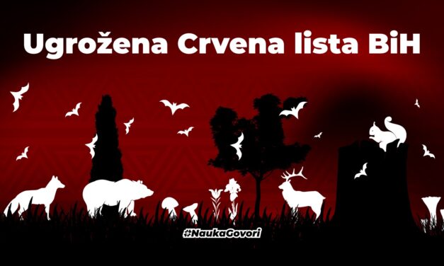 Crvena lista BiH: ugrožena i nepostojeća