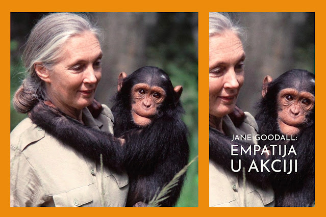Jane Goodall – žena koja je revolucionirala primatologiju (i svijet)
