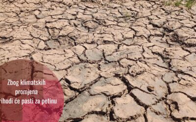 Štete usljed klimatskih promjena prijete svjetskoj ekonomiji: nova istraživanja otkrivaju alarmantne projekcije šteta i smanjenja prihoda
