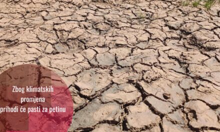 Štete usljed klimatskih promjena prijete svjetskoj ekonomiji: nova istraživanja otkrivaju alarmantne projekcije šteta i smanjenja prihoda