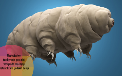 Šta se dogodi kada proteine tardigrada strpate u ljudske ćelije? Postanu otpornije na stres i starenje.