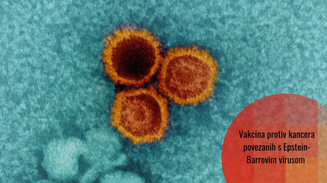 Imunoterapijska vakcina protiv kancera povezanih s Epstein-Barr virusom (EBV)