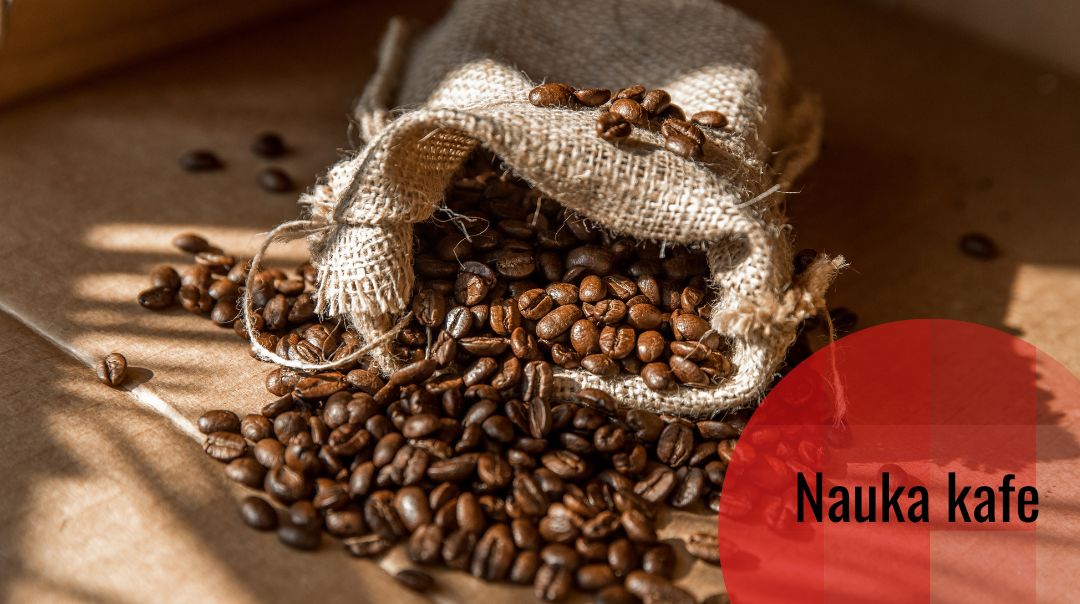 Kafa: govor genoma omiljene biljke