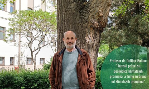 Šumski požari i klimatske promjene: profesor Dalibor Ballian o ugroženosti šuma i njihovom značaju
