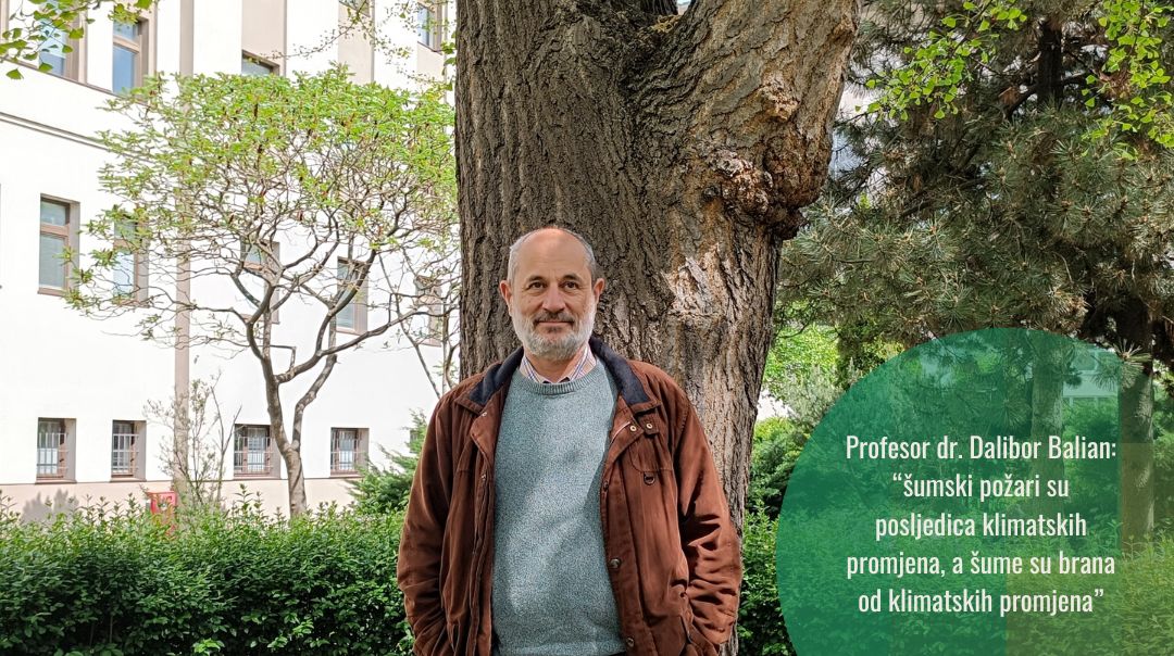 Šumski požari i klimatske promjene: profesor Dalibor Ballian o ugroženosti šuma i njihovom značaju