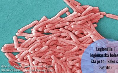 Legionella, nevidljivi osvajač: priča o veteranima i čudnoj bolesti