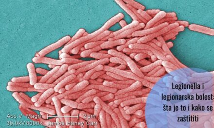 Legionella, nevidljivi osvajač: priča o veteranima i čudnoj bolesti