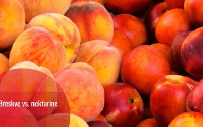Breskve i nektarine: jedan gen razlike