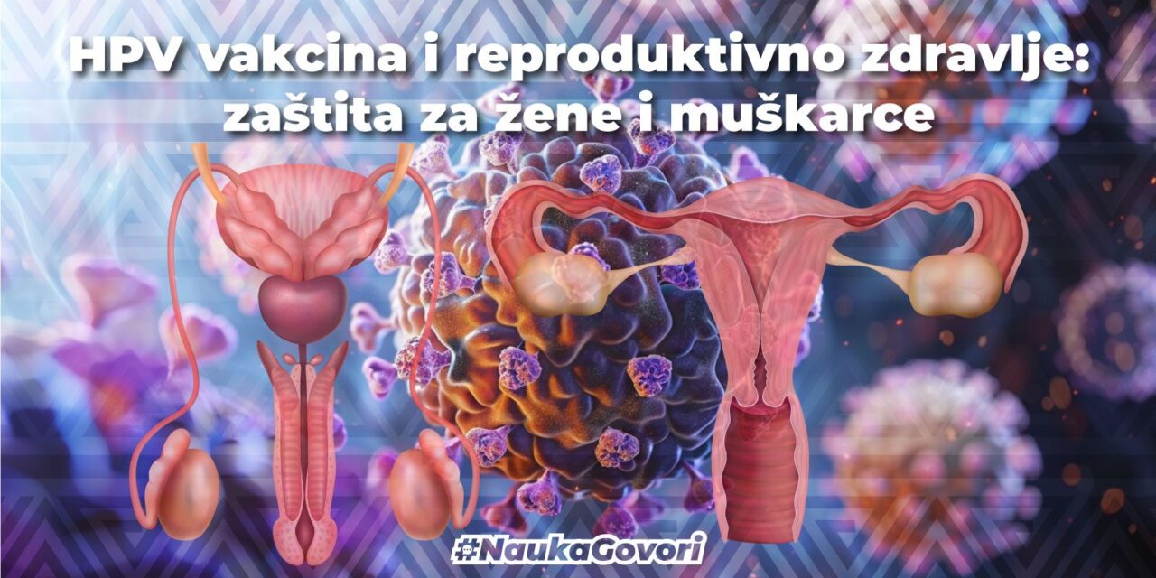 HPV vakcine i reproduktivno zdravlje: zaštita za žene i muškarce