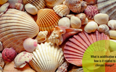 Acidification of seas and oceans: twin-sister of climate change