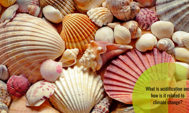 Acidification of seas and oceans: twin-sister of climate change