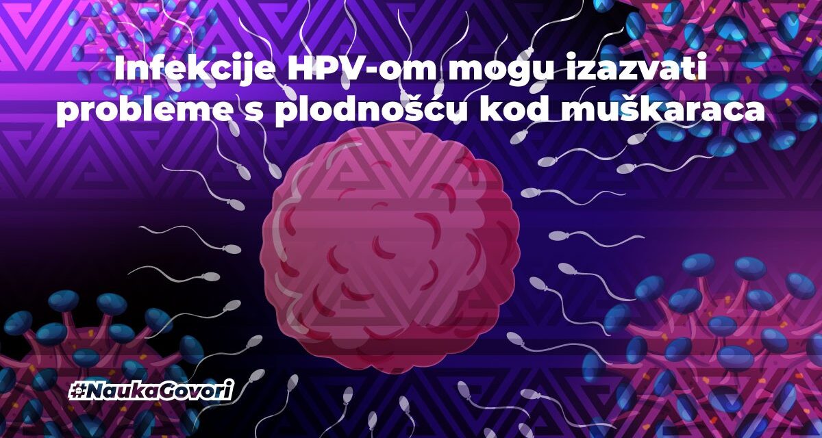 Infekcije HPV-om su povezane s neplodnošću muškaraca