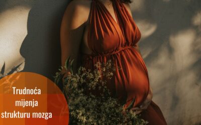 Trudnoća i mozak: kako se mozak mijenja