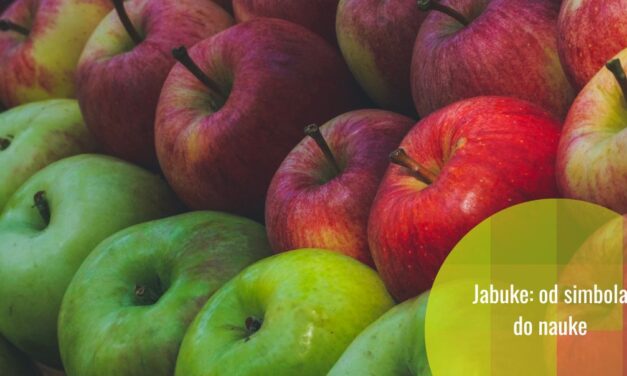 Nauka o jabukama: tajne voća koje volimo