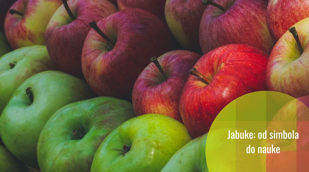 Nauka o jabukama: tajne voća koje volimo