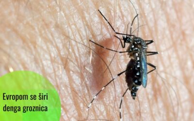 Denga groznica u regionu Mediterana kao posljedica klimatskih promjena