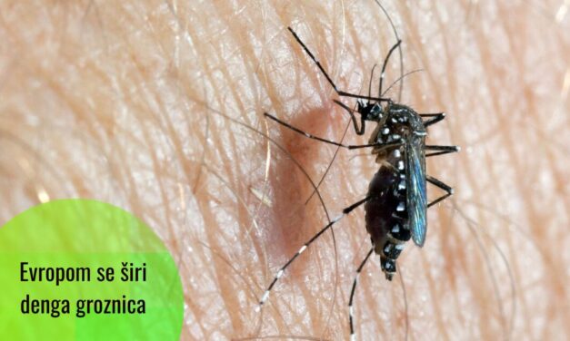 Denga groznica u regionu Mediterana kao posljedica klimatskih promjena