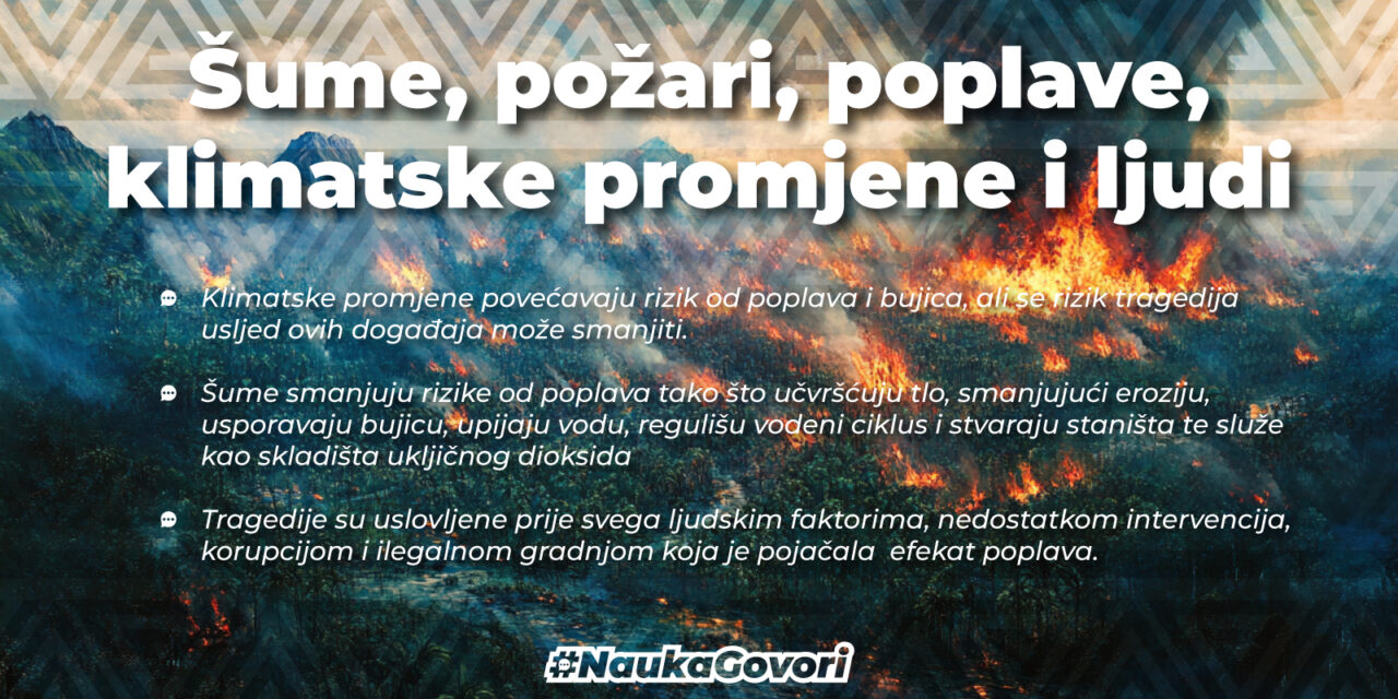 Šume i pravično društvo kao presudni faktori smanjenja rizika od poplava i bujica