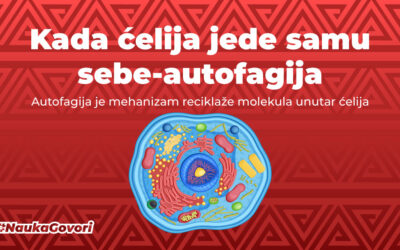 Autofagija: ćelijski „samojed”
