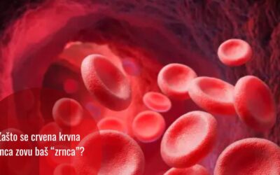 Zašto crvena krvna zrnca nisu ćelije nego baš – zrnca?