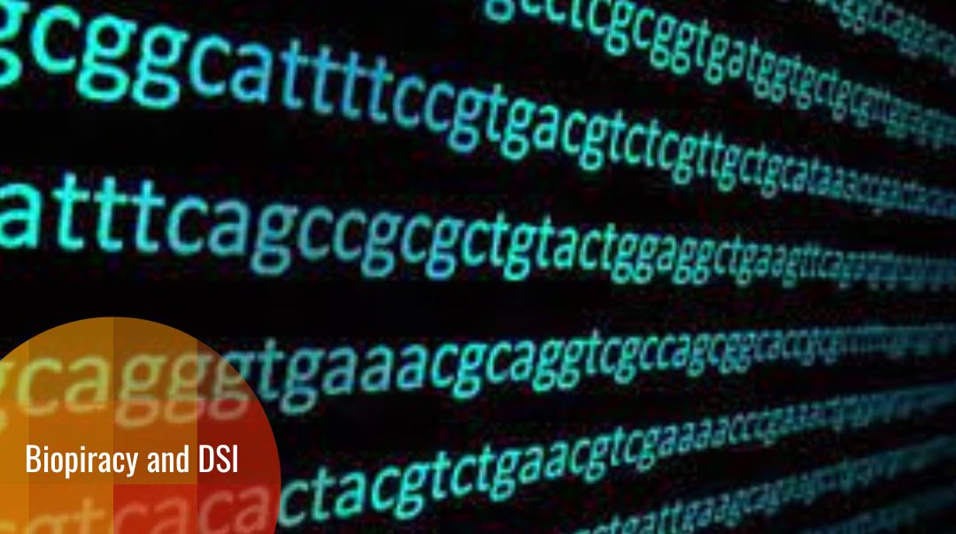 Biopirates, digital sequences (DSI), genetic resources and the question of justice