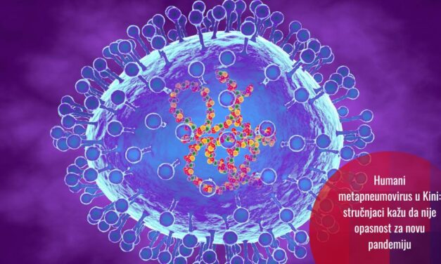 Novi-stari virus u fokusu: humani metapneumovirus (HMPV)