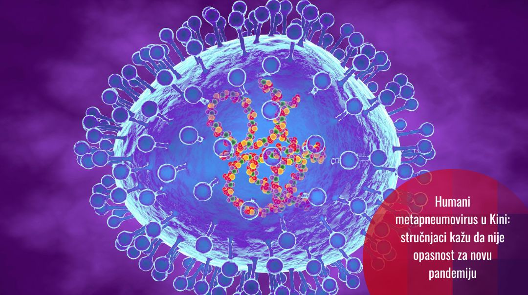 Novi-stari virus u fokusu: humani metapneumovirus (HMPV)