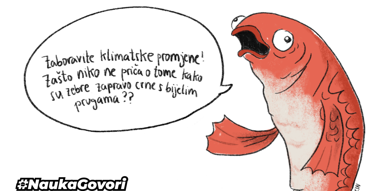Kako prepoznati i zaustaviti problem u raspravi: logička greška red herring (crvena haringa)