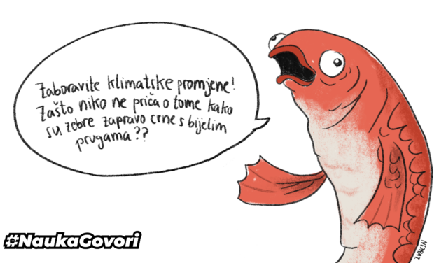 Kako prepoznati i zaustaviti problem u raspravi: logička greška red herring (crvena haringa)
