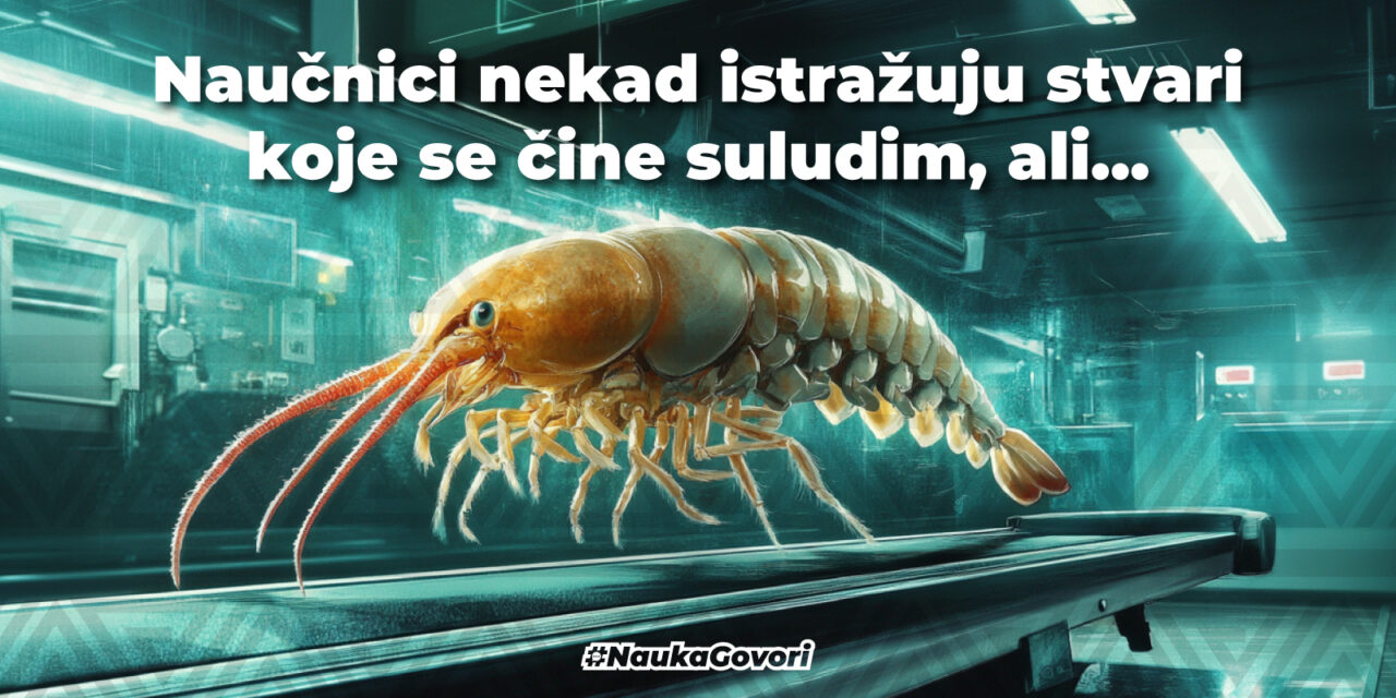 Luda znanstvena istraživanja… ili imaju smisla?
