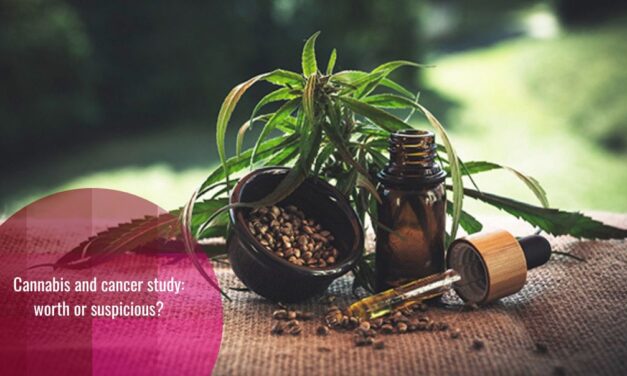 Cannabis as Cancer Therapy – A Metastudy That Is Not and Misrepresents the Situation