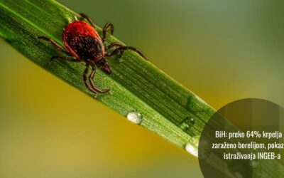 Borrelia kod krpelja u BiH: Šta znamo, a šta nas još čeka?