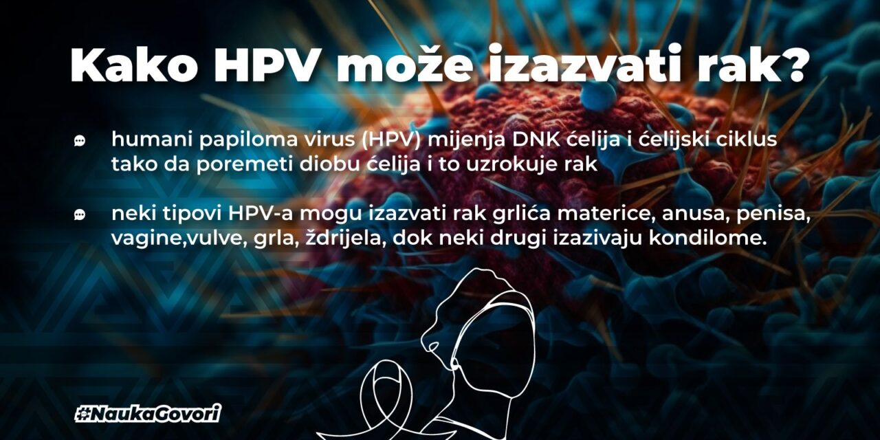 Kako to HPV može izazvati rak?