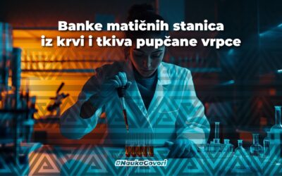 Matične ćelije: o bankama, čuvanju i terapijama
