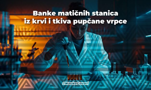 Matične ćelije: o bankama, čuvanju i terapijama