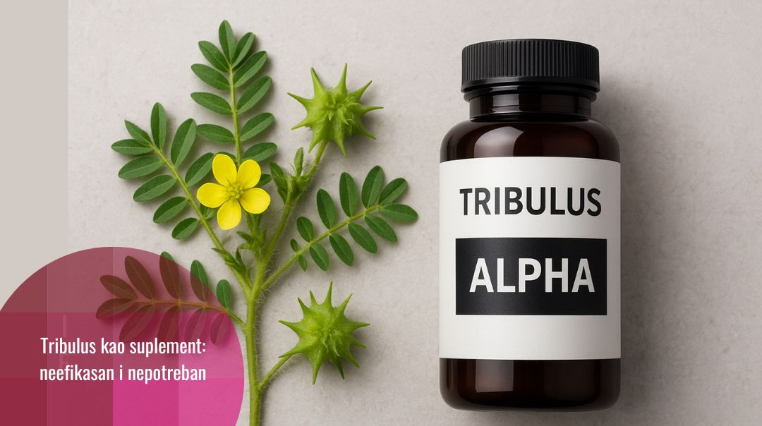 Nauka protiv reklame: Tribulus terrestris – prirodni anabolik ili marketinški mit?