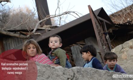 Nejednakost nije samo ekonomska – ona oblikuje i mozak