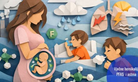 Prenatalna izloženost PFAS hemikalijama povećava rizik od astme kod djece