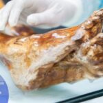 Mumija Ledenog čovjeka Ötzija je bila prekrivena kvaščanim gljivicama, a naučnici su od njih napravili dizano tijesto